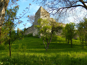 Repser Burg